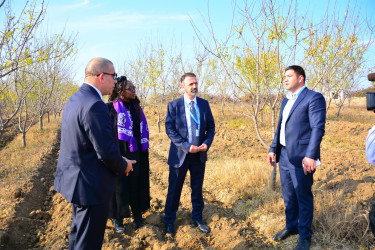 VASSERŞTAYN İsveçrə- Azərbaycan Plantasiyaları çərçivəsində  həyata keçiriləcək beynəlxalq layihələr Ağstafada müzakirə olunub