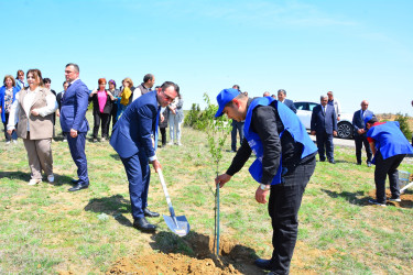 18 Aprel - Beynəlxalq Abidələr və Tarixi Yerlər Günü “Keşikçidağ” Dövlət tarix-mədəniyyət qoruğunda qeyd olunub və Ölkəmizdə 2024-cü ilin “Yaşıl dünya naminə həmrəylik ili” çərçivəsində qoruğ ərazisində ağacəkmə aksiyası keçirilib