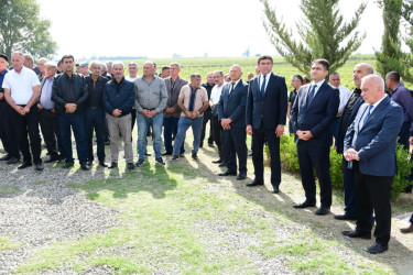 Şəhidimiz İlkin Bayramovun anası Cəmalə Bayramova vəfat edib
