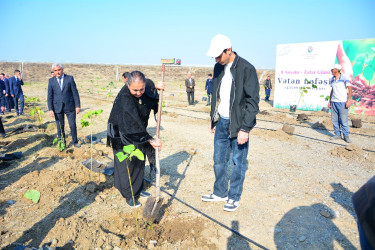 Ağstafada 8 Noyabr – Zəfər Gününün beşinci ildönümünə həsr olunmuş “Vətən nəfəsi” adlı ağacəkmə aksiyaları təşkil olunub